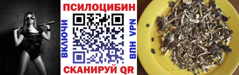Галлюциногенные грибы ЛСД  OMG онион  Ковров 